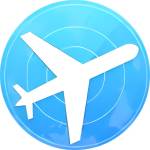 Airline Butler APK